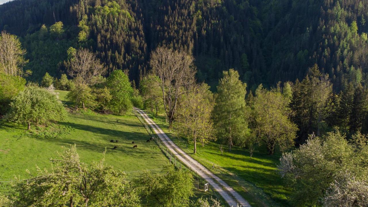 Charmante Gaestewohnung In Altem Bauernhaus In Alpiner Alleinlage Stanz Im Murztal Экстерьер фото