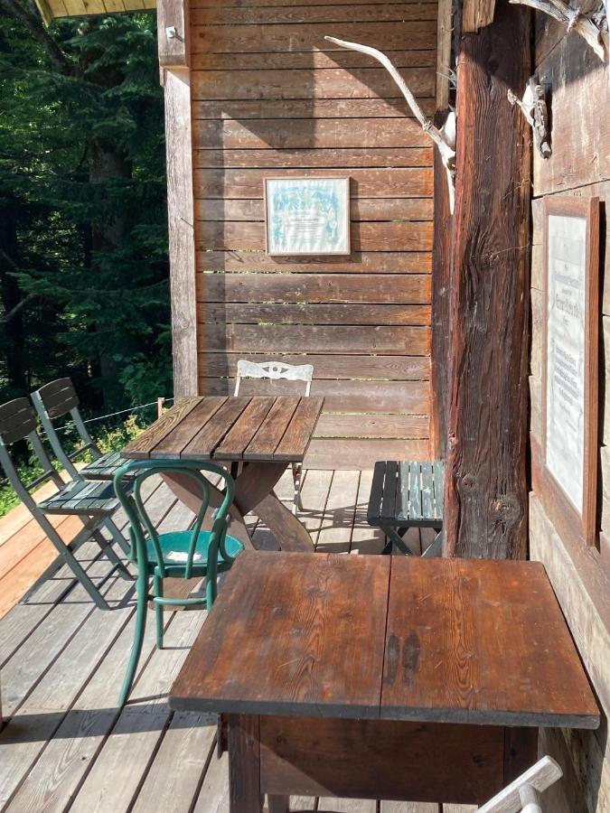 Charmante Gaestewohnung In Altem Bauernhaus In Alpiner Alleinlage Stanz Im Murztal Экстерьер фото