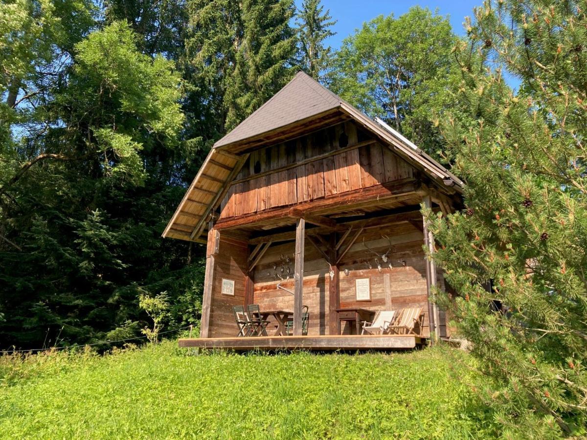 Charmante Gaestewohnung In Altem Bauernhaus In Alpiner Alleinlage Stanz Im Murztal Экстерьер фото