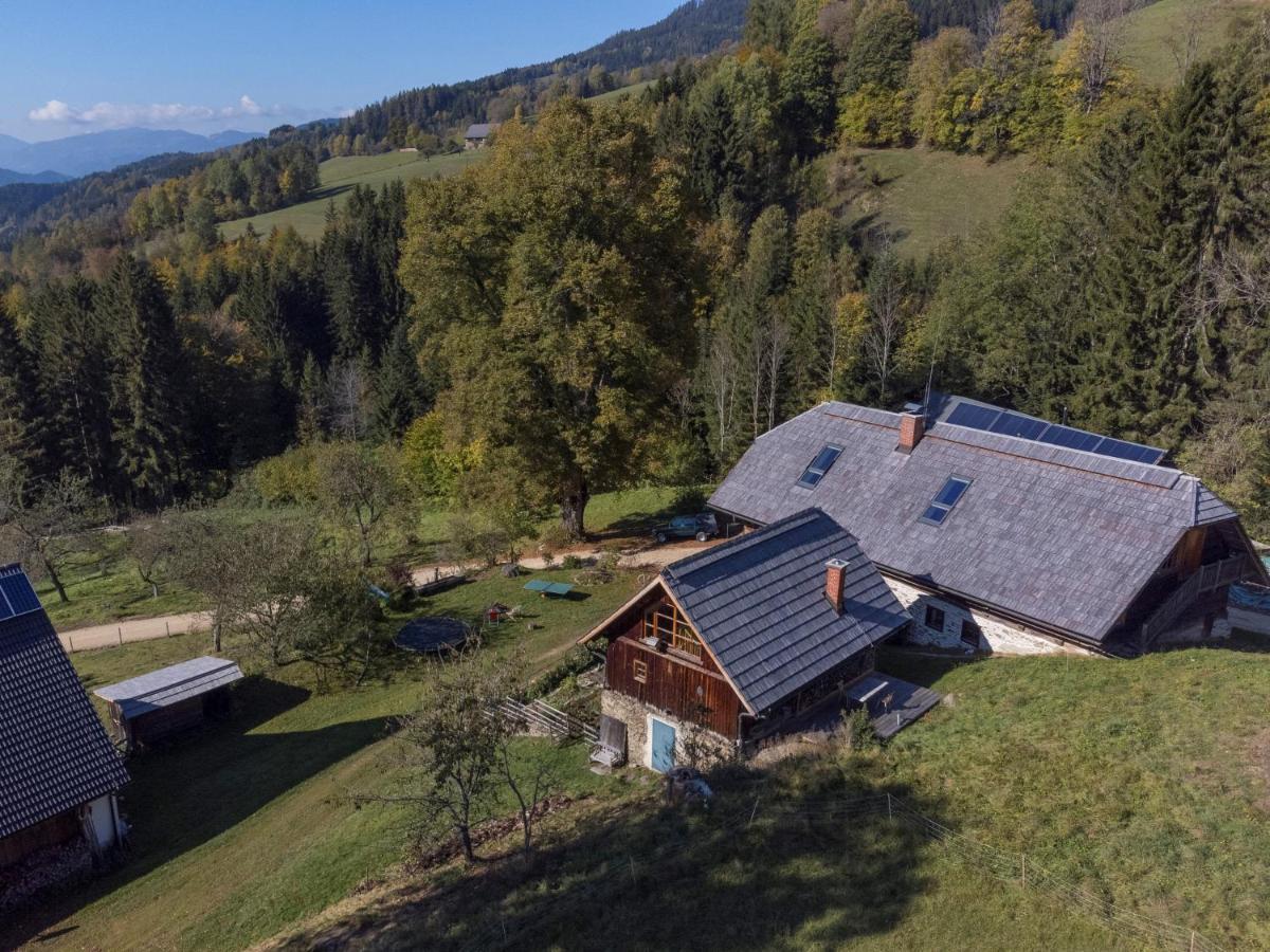Charmante Gaestewohnung In Altem Bauernhaus In Alpiner Alleinlage Stanz Im Murztal Экстерьер фото